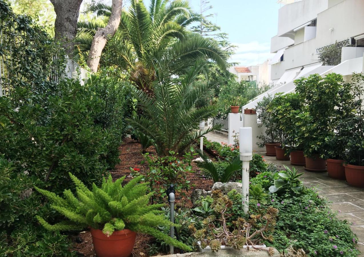 مولا دي باري Ripa Residence المظهر الخارجي الصورة